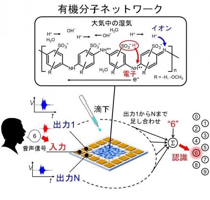 分子一滴で音声認識― マテリアルから知能を引き出す! ― | プレス
